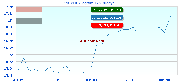 XAUYER kilogram 12K 30days