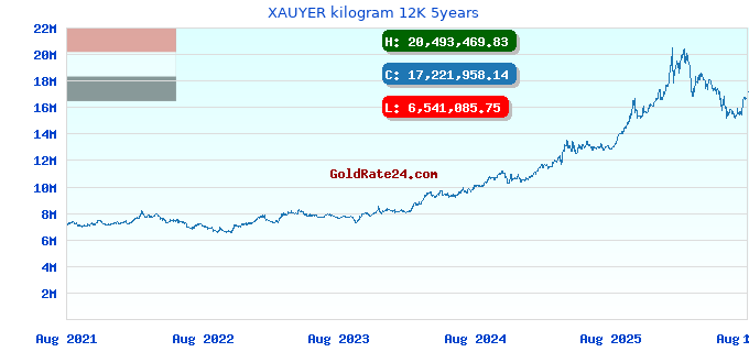 XAUYER kilogram 12K 5years