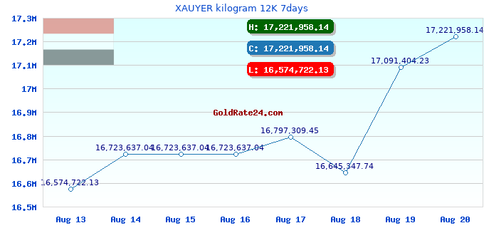XAUYER kilogram 12K 7days