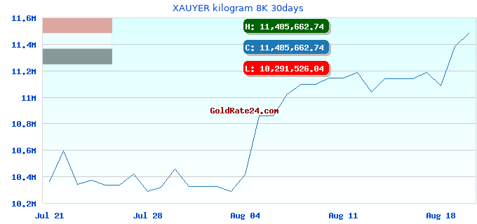 XAUYER kilogram 8K 30days