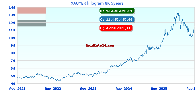 XAUYER kilogram 8K 5years